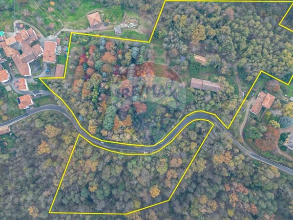 casa indipendente in vendita a Strona