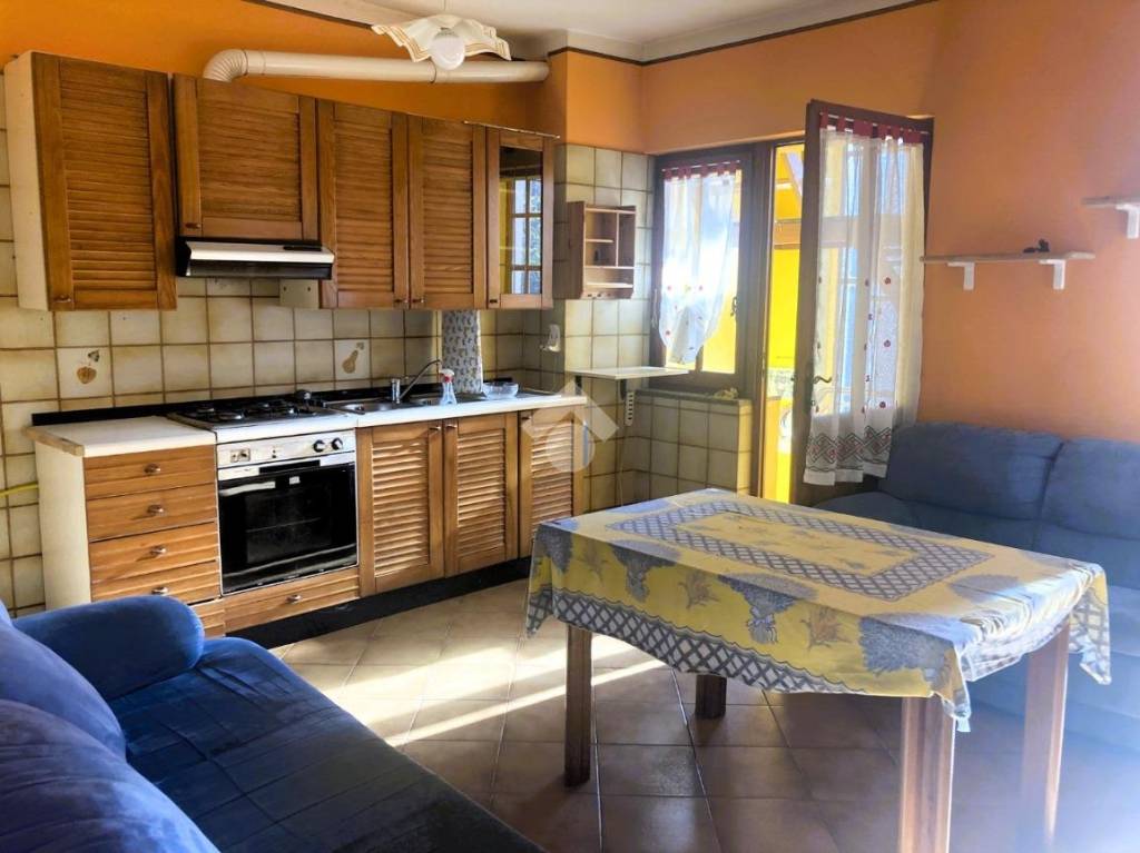 immagine annuncio 0 di 15