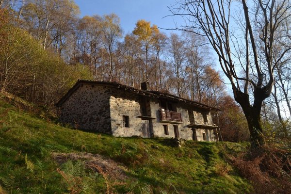 esavano in vendita a Tavigliano in zona Pratetto