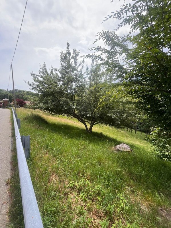 terreno edificabile in vendita a Tavigliano in zona Sella