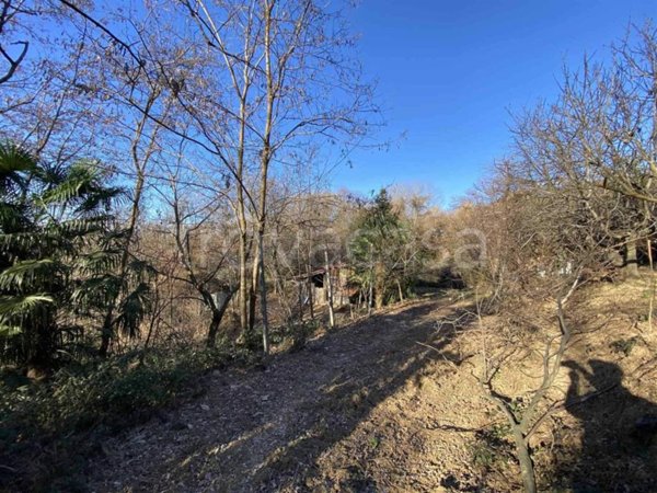 appartamento in vendita a Valle San Nicolao