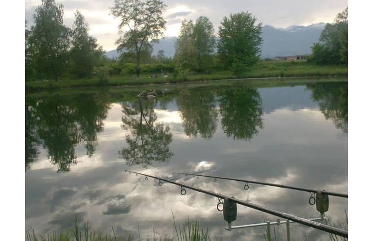 terreno agricolo in vendita a Vigliano Biellese