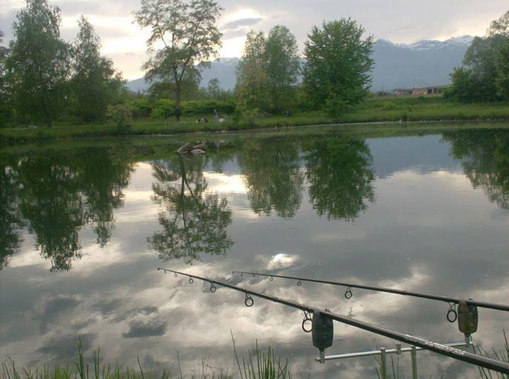 terreno agricolo in vendita a Vigliano Biellese