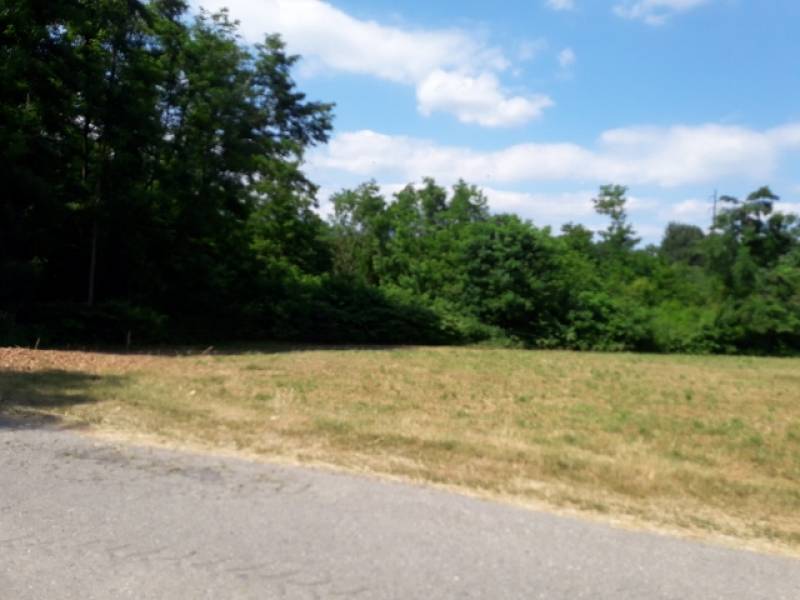 terreno agricolo in vendita a Vigliano Biellese