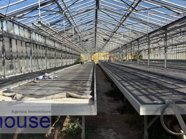 terreno agricolo in vendita a Vigliano Biellese