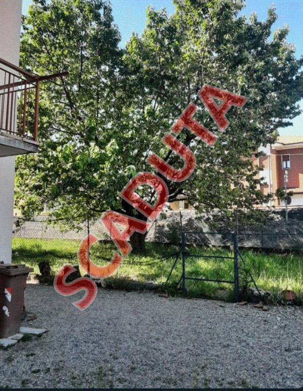 appartamento in vendita a Vigliano Biellese