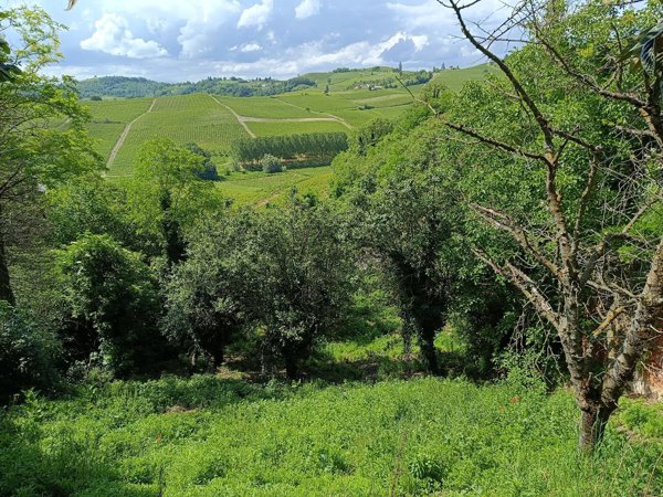 casale in vendita ad Alice Bel Colle in zona Boidini