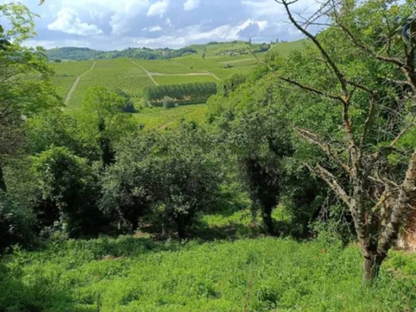 casa indipendente in vendita ad Alice Bel Colle in zona Boidini
