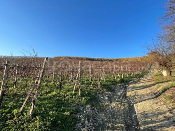 terreno agricolo in vendita ad Alice Bel Colle in zona Gaviglio