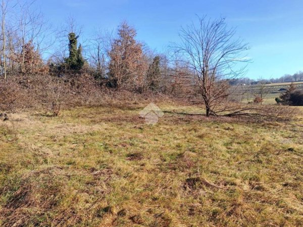 terreno agricolo in vendita a Viverone