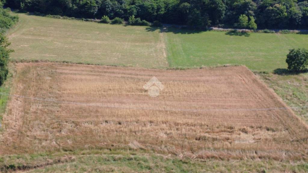 terreno agricolo in vendita a Viverone in zona Masseria