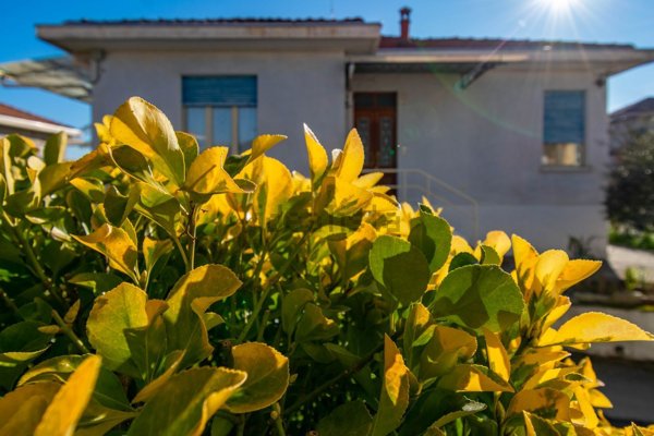 casa indipendente in vendita a Lessona