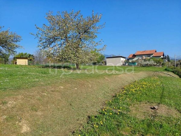 terreno agricolo in vendita a Lessona in zona Crosa