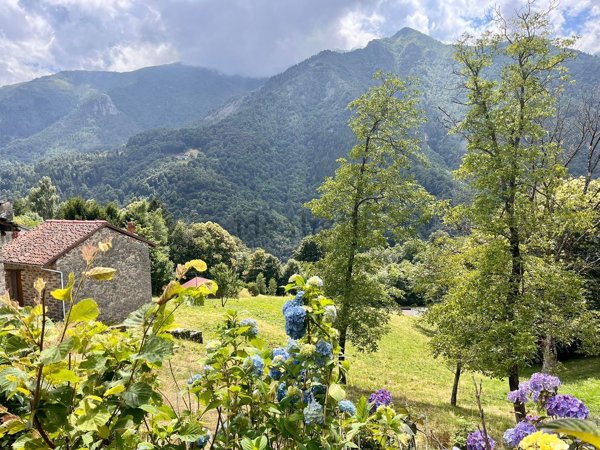appartamento in vendita a Campiglia Cervo in zona Sassaia