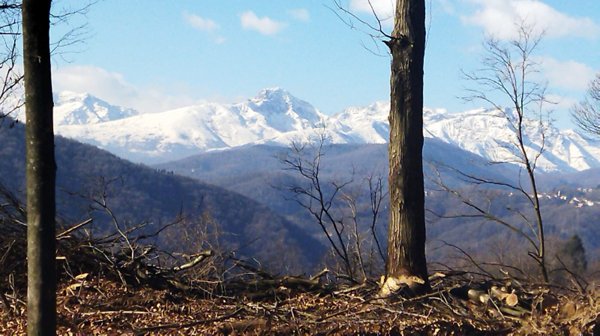 terreno edificabile in vendita a Valdilana in zona Vico