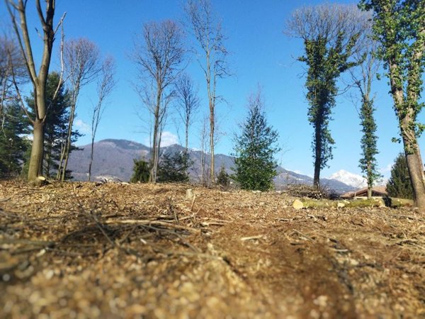 negozio in vendita a Valdilana
