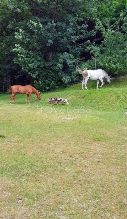 casale in vendita a Valdilana in zona Vico