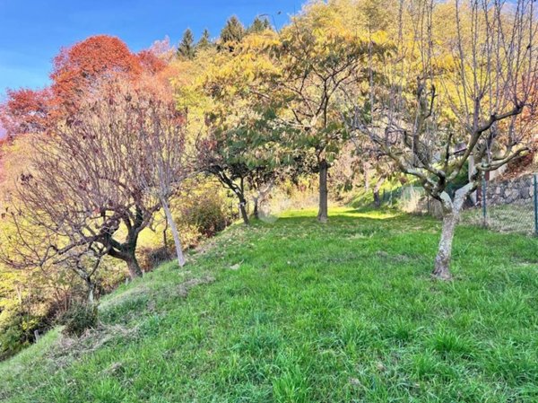 terreno agricolo in vendita a Valdilana