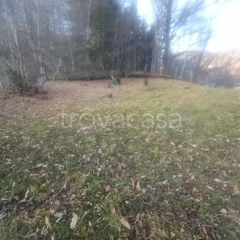 terreno agricolo in vendita a Valdilana