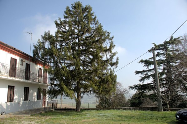 casa indipendente in vendita ad Altavilla Monferrato