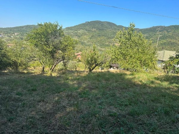 terreno agricolo in vendita ad Arquata Scrivia in zona Rigoroso