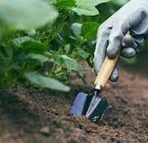 terreno agricolo in vendita ad Arquata Scrivia