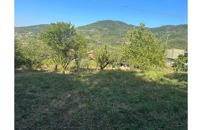 terreno agricolo in vendita ad Arquata Scrivia in zona Rigoroso