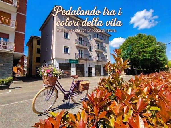 appartamento in vendita ad Arquata Scrivia