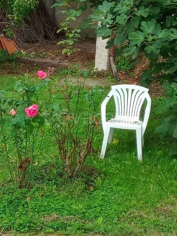 casa indipendente in vendita ad Avolasca