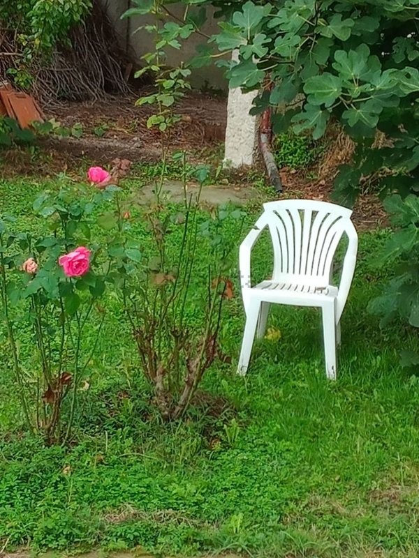 casa indipendente in vendita ad Avolasca