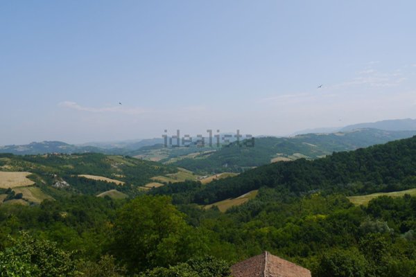 pentavano in vendita ad Avolasca