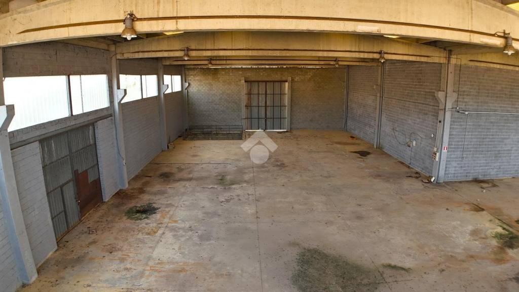 locale commerciale in vendita a Basaluzzo