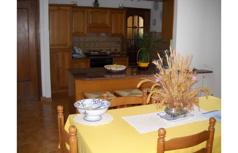 casa indipendente in vendita a Basaluzzo