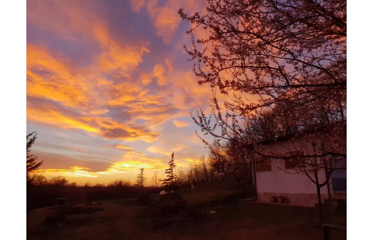 casa indipendente in vendita a Basaluzzo