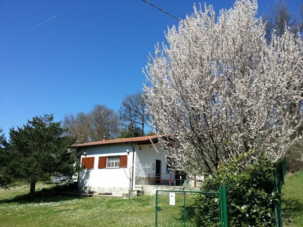 appartamento in vendita a Basaluzzo