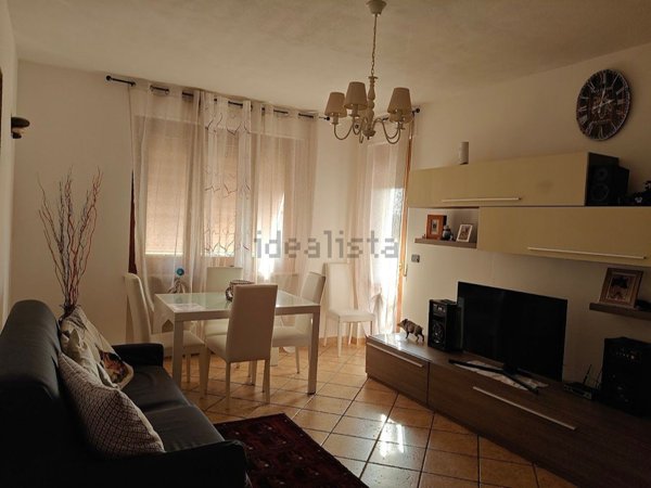 appartamento in vendita a Basaluzzo