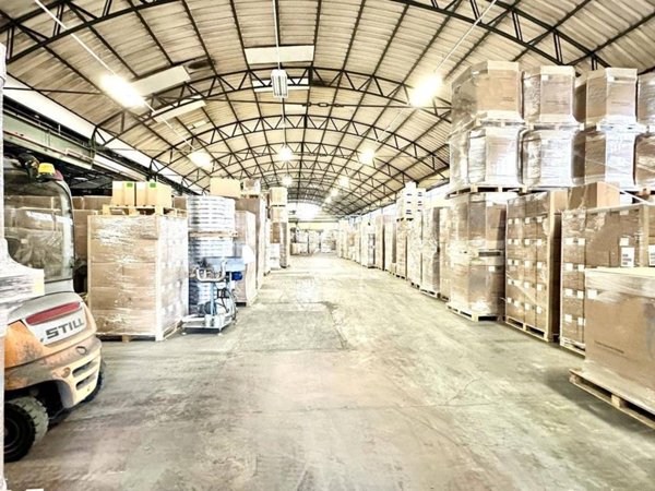 capannone in vendita a Basaluzzo