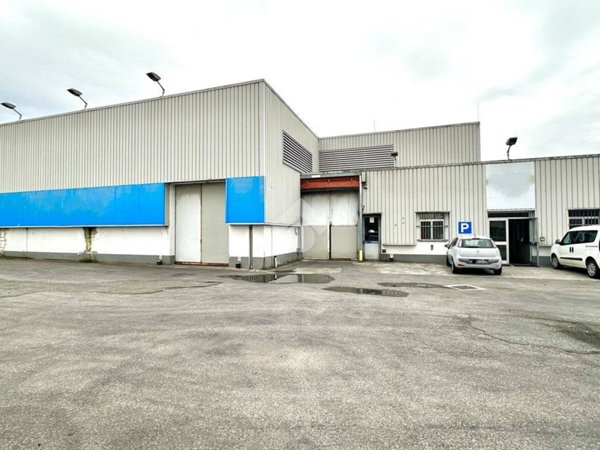 capannone in vendita a Basaluzzo