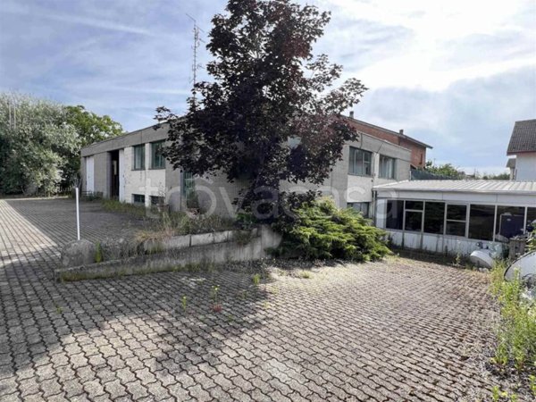 locale commerciale in vendita a Basaluzzo