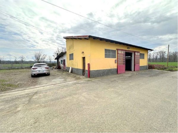 locale commerciale in vendita a Basaluzzo