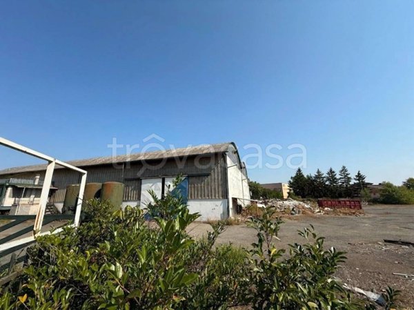 locale commerciale in vendita a Basaluzzo