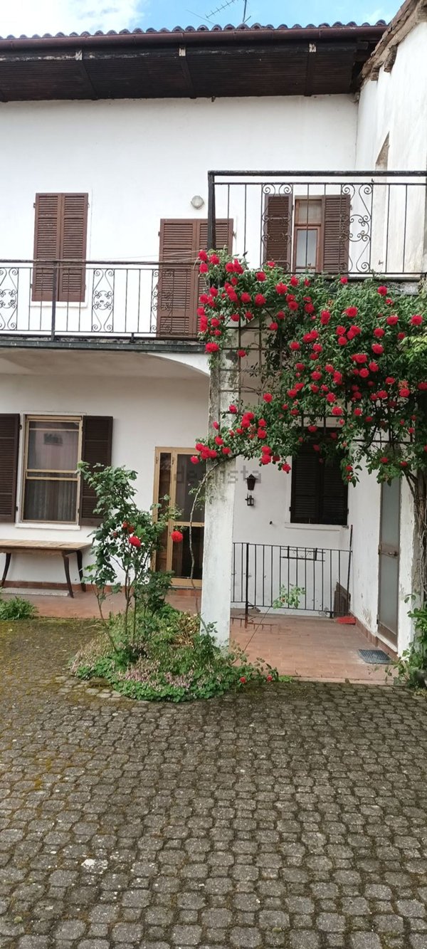 esavano in vendita a Bassignana