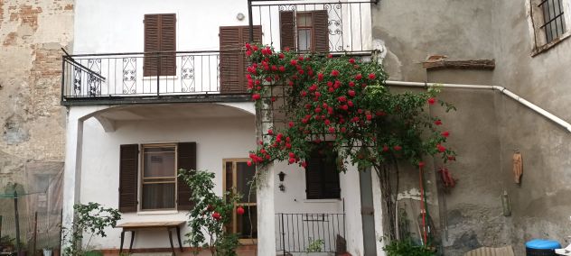 casa indipendente in vendita a Bassignana