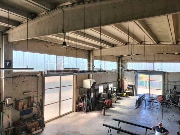 locale commerciale in vendita a Bassignana in zona Fiondi