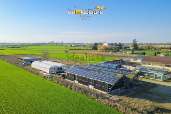 terreno agricolo in vendita a Bassignana in zona Mugarone