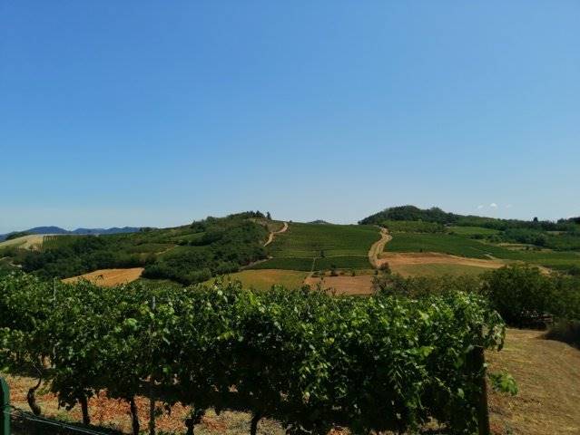 casa indipendente in vendita a Berzano di Tortona in zona Inselmina