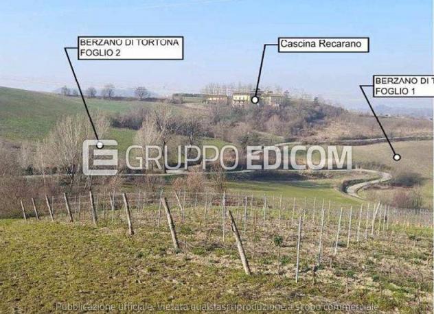casale in vendita a Berzano di Tortona