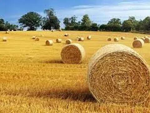 casa indipendente in vendita a Borghetto di Borbera