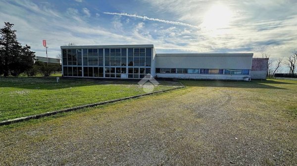 locale commerciale in vendita a Bosco Marengo