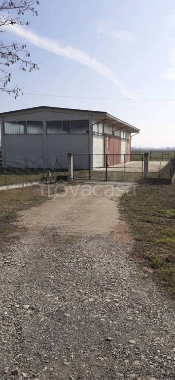 appartamento in vendita a Bosco Marengo